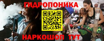 spice Славгород