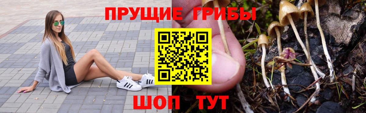 Галлюциногенные грибы GOLDEN TEACHER Югорск